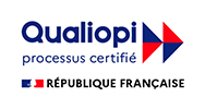 DELTA  CONSEIL